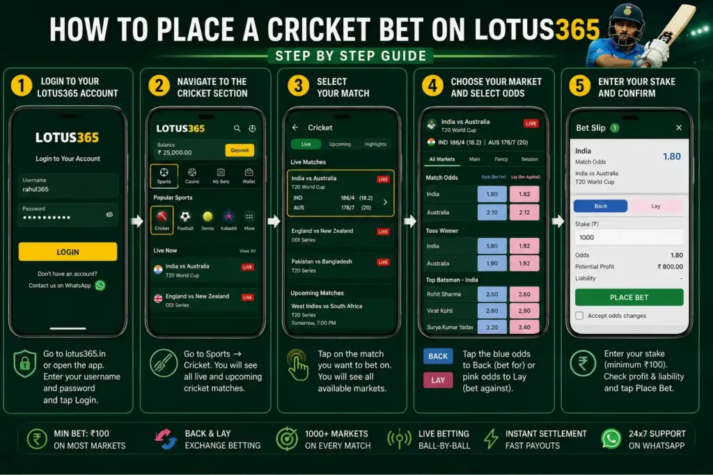 Lotus365 cricket betting guide showing account login, cricket section navigation, match selection, odds selection, stake entry, and bet confirmation process.